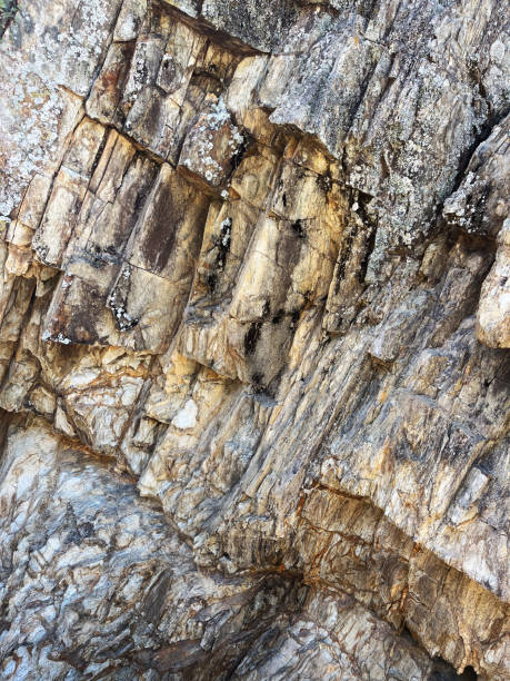 istock Textured Rock Formation with Lichen Growth 2205336635
