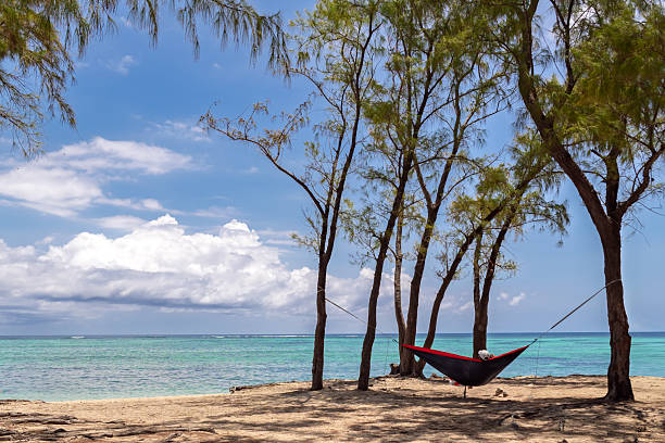 Paradise awaits: hammock between casuarina trees on tropical beach.Red hammock by turquoise waters.Coastal retreat.