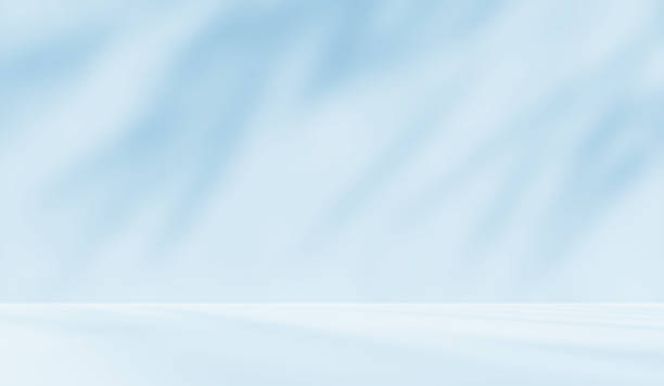 istock Empty blue room studio with shadow of leaves on concrete wall and floor for product presentation. 2205345341