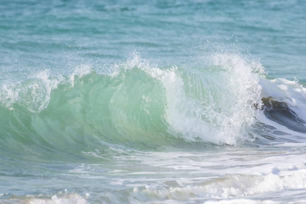 Beautiful waves crashing on the shore
