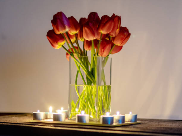istock red tulips in a vase by candlelight, interesting reflections and shadows 2205353108