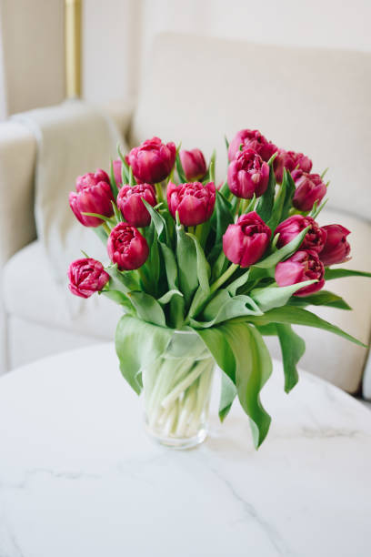 istock Purple tulips bouquet on marble coffee table 2205356932