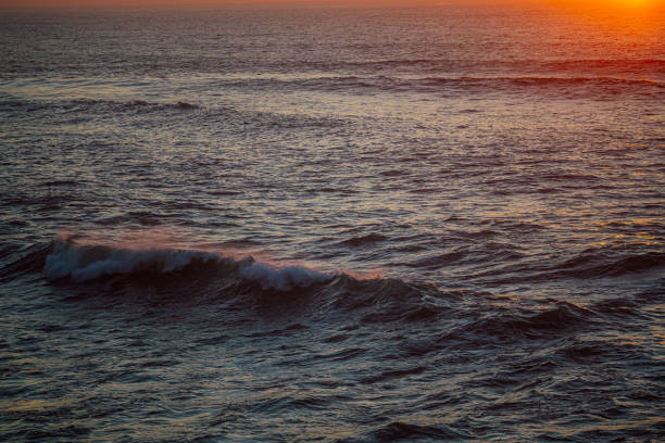 people walking in the beach while sun is setting.