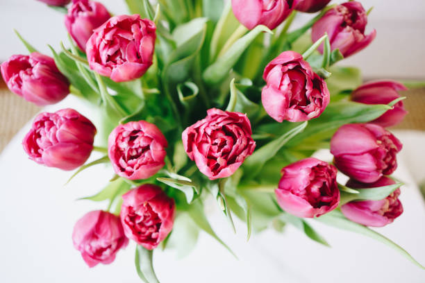istock Purple tulips bouquet on marble coffee table 2205358522
