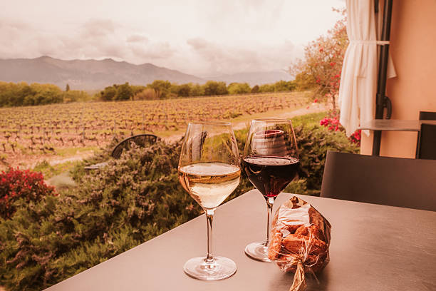 Glasses of red and white wine seen at a winery with view of Vineyard stock photo