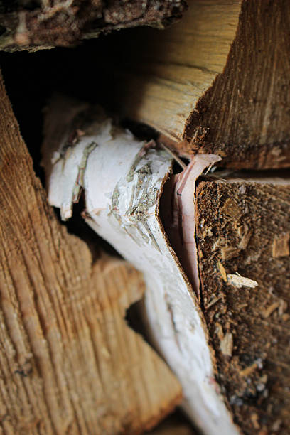 istock Background image in the form of a tree cut - stump. close-up. wood texture. different types and sizes of wood 2205363674