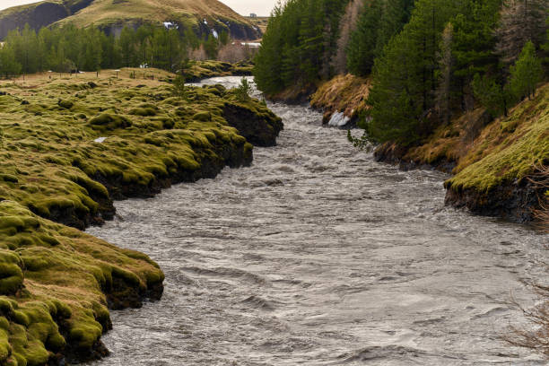 Powerful river carving its way through a beautiful icelandic landscape
