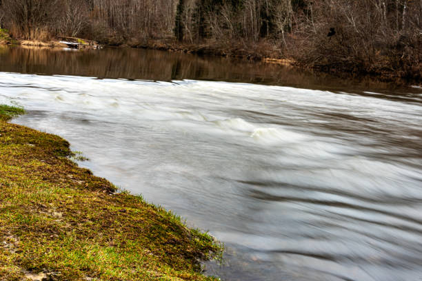 Slow water flow in the river, spring in nature, Abava Valley, Latvia
