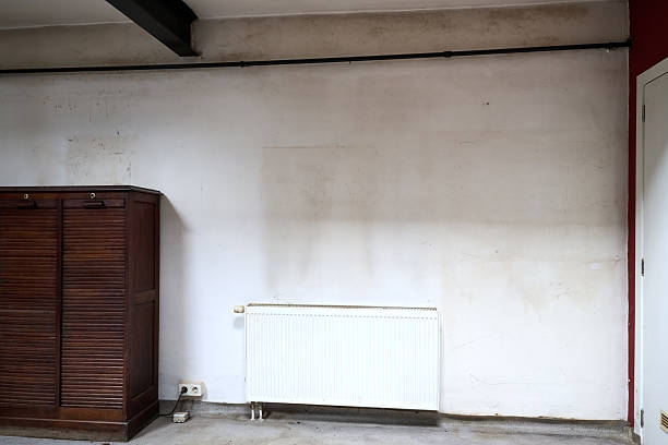 istock Dirty white wall in grungy loft with moisture and spider web 2205369951