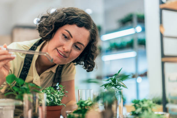 istock Beautiful flower shop owner 2205370991