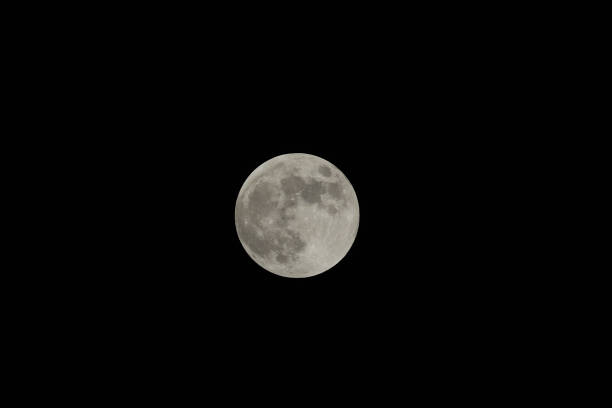 Photo of the full moon on March 14, 2025.  This is before the onset of the total lunar eclipse.