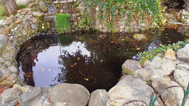 istock Natural Pond. Public park green area. 2205371967