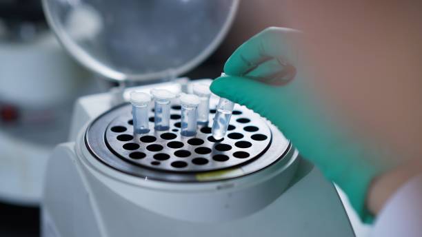 istock Asian female scientists are conducting experiments in a biological laboratory 2205373319