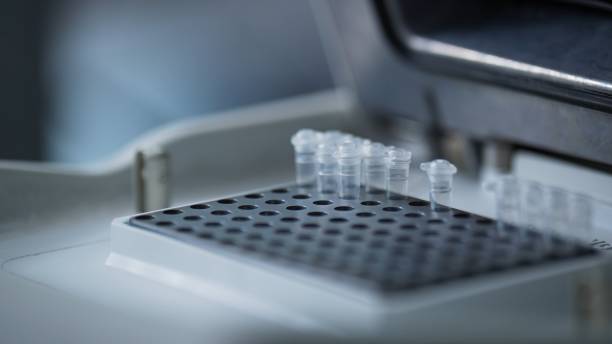 istock Asian female scientists are conducting experiments in a biological laboratory. 2205373323