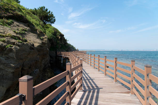 istock promenade by the cliff at the seaside 2205374208