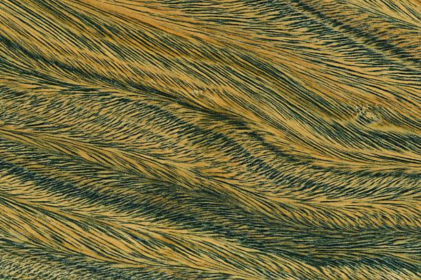 Green elegant plywood for premium background. Light wooden table with cracks. Wood texture background. Wooden surfaces with natural colors and patterns.