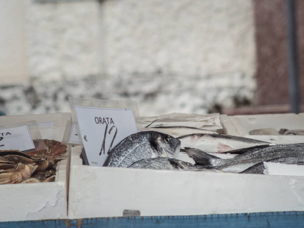 A close-up of fresh fish, including gilt-head bream, displayed in white styrofoam boxes at a seafood market. A price tag marked \