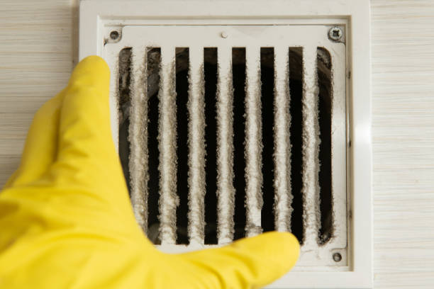 Cleaning technician wearing gloves checking dirty ventilation grille Close up of a cleaning technician wearing yellow gloves checking a very dirty ventilation grille needing maintenance mildew stock pictures, royalty-free photos & images