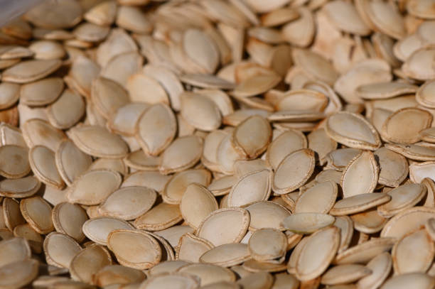 A close-up view of pumpkin seeds resting under gentle sunlight, highlighting their smooth surfaces and natural hues.