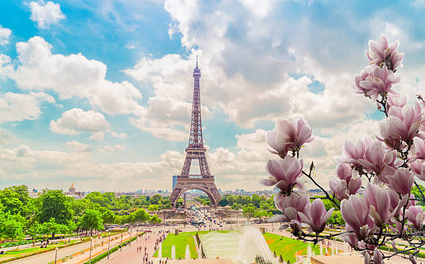 istock eiffel tour and from Trocadero, Paris 2205380266