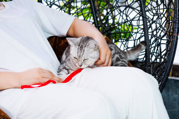 Woman with cat in swing chair
