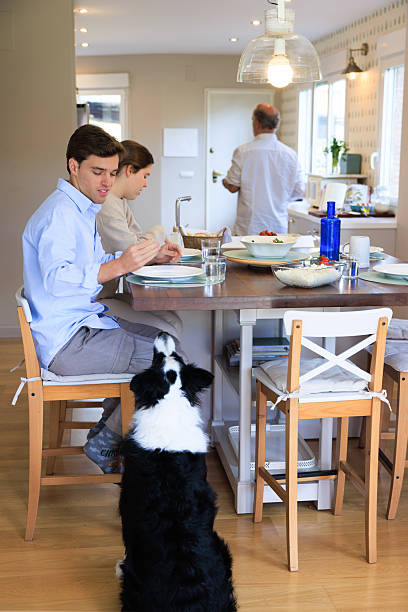 istock Young Man Having Lunch at Home While Dog Waits for Food 2205381902