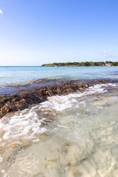 Scenic tropical beach with clear turquoise water, coral formations, and palm trees on the shoreline under a bright blue sky. Perfect representation of summer relaxation, vacation, and untouched natural beauty.