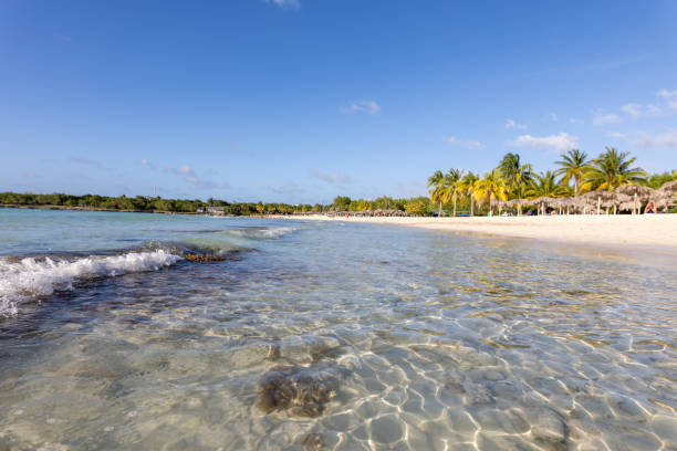 istock Tropical Beach Shoreline with Crystal Clear Water Under Blue Sky 2205382076