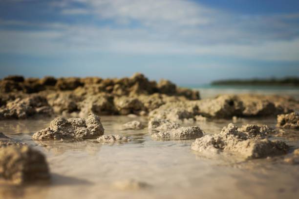 A scenic view of a rocky tide pool on a tranquil beach, featuring clear water reflecting the serene environment and a horizon blending with the distant coastline under a partly cloudy sky.