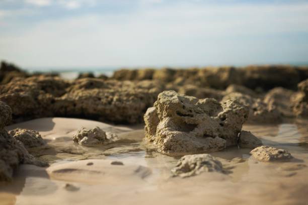 A scenic view of a rocky tide pool on a tranquil beach, featuring clear water reflecting the serene environment and a horizon blending with the distant coastline under a partly cloudy sky.