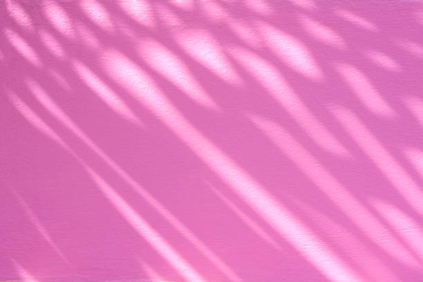 istock Pink concrete exterior wall background with light and palm leaf shadow on surface 2205386151