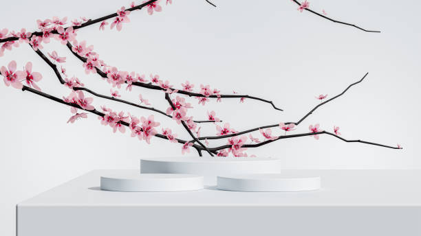 istock Three circular white podiums adorned with delicate cherry blossoms, perfect for showcasing products in a stylish and bright setting. 2205390195