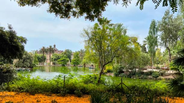 istock Ciutadella Park Lake with Boats and Trees 2205392935
