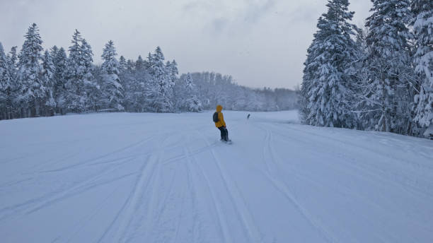 istock Two distant young snowboarders coast along empty ski resort slopes in Rusutsu. 2205394374