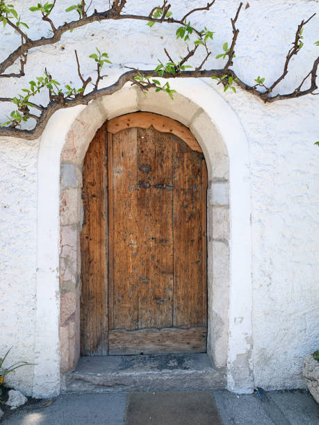 A woman out of frame reaching her hand out, holding a hanging branch of green ivy with pink flowers in front of some old wood doors.