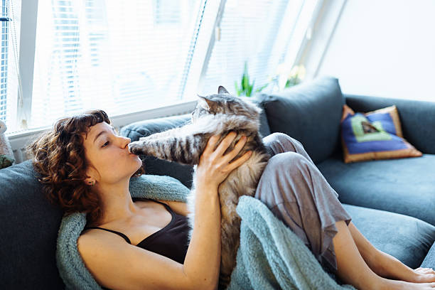 istock young woman hugging a gray fluffy cat 2205402899