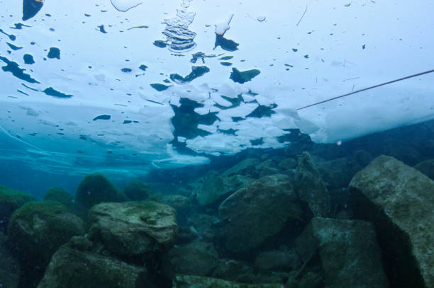 Underwater view revealing the ice covering a frozen lake in Panticosa, Spain, showcasing rocks and algae on the lake bottom, creating a serene and tranquil winter landscape