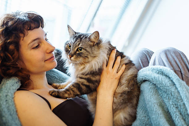 istock young woman hugging a gray fluffy cat 2205403350