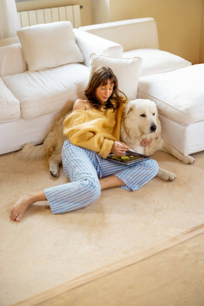 istock Cozy Morning with a Loyal Companion 2205407989