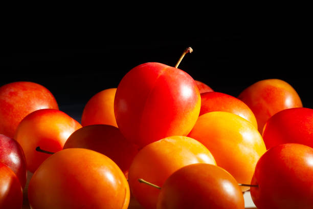 Fresh plums isolated on white background. Free space for text.