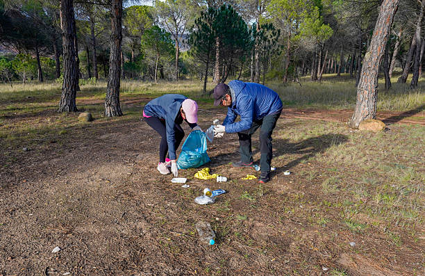 istock Adults picking up litter in protected pine forest 2205416768