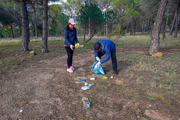 istock Adults picking up litter in protected pine forest 2205416783