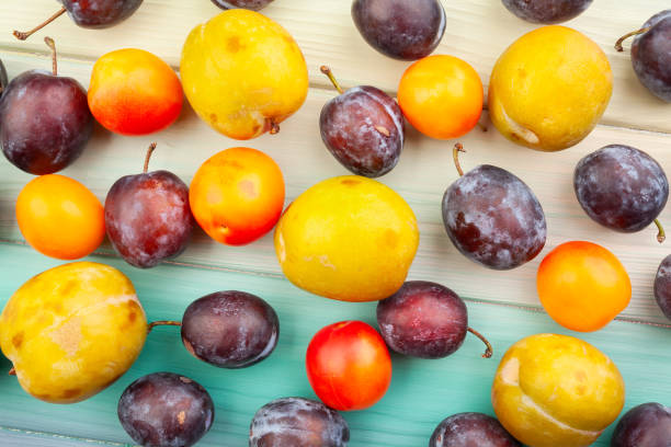istock plum mix on wood 2205418967
