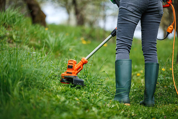 istock Gardener using electric weed trimmer to trim grass in garden 2205421321