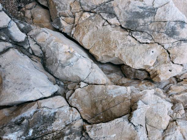 istock Natural rocky surface with intricate patterns and textures in beige tones, beauty of geological formations 2205425867