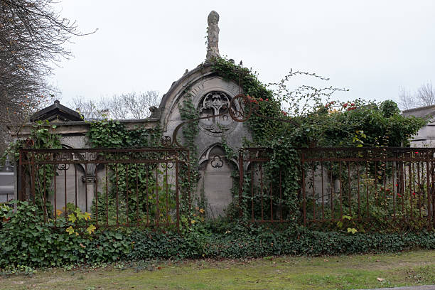 istock Vegetation Cemetery 2205426373