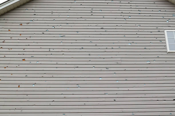 Vinyl Siding On A House That Has Hail Damage