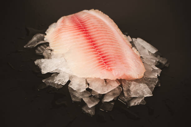 istock Fresh tilapia fillet on ice on black background 2205428173