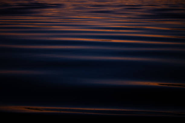 istock Sunrise light reflecting on a body of water 2205434519