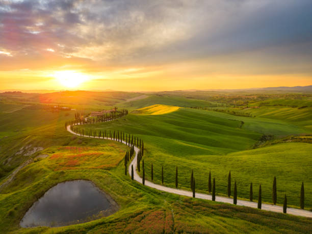 istock Asciano, Tuscan landscape from drone 2205435777